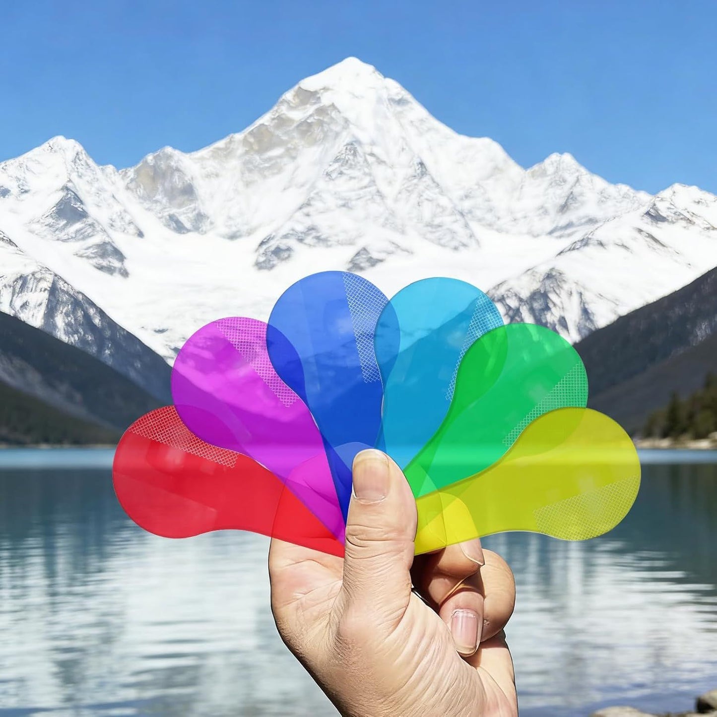 Colour Paddles Set - Learning Toy