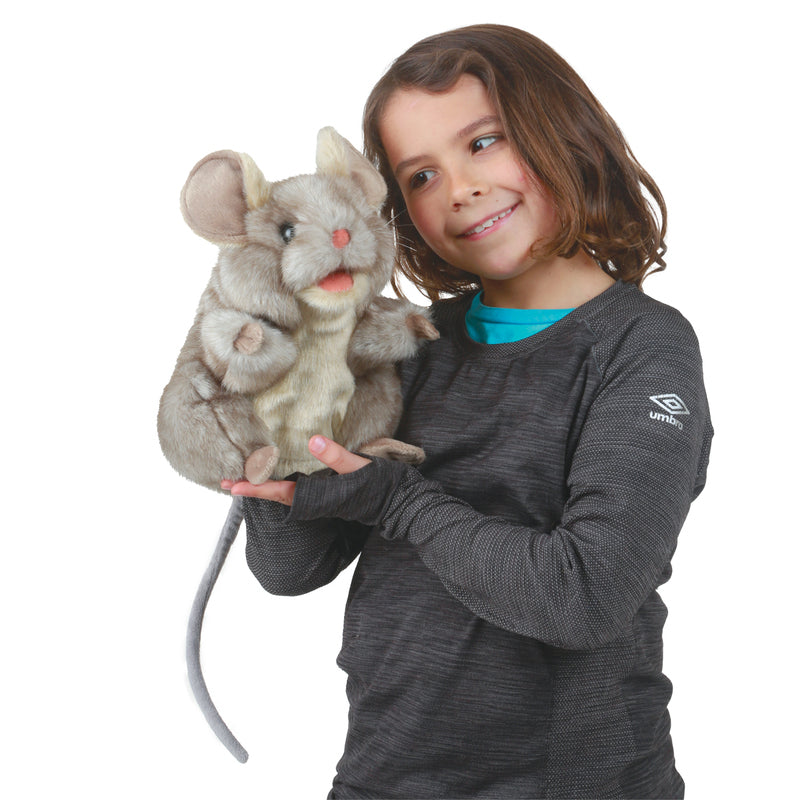 Child holding a plush mouse toy on a white background