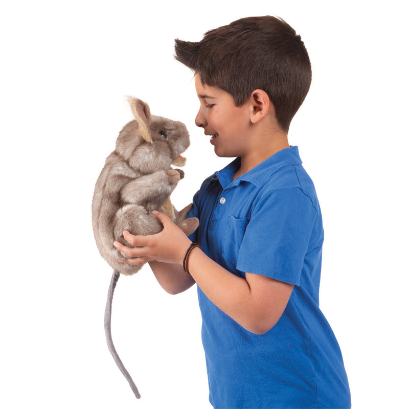 Child holding a plush toy kangaroo on a white background