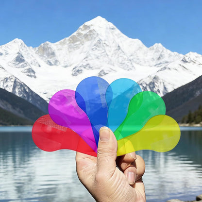 Colour Paddles Set - Learning Toy